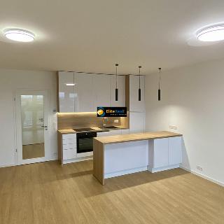 Pronájem bytu 1+kk a garsoniéry 40 m² Olomouc, Milana Ticháka