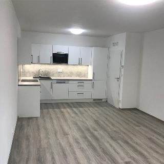 Pronájem bytu 2+kk 71 m² Olomouc