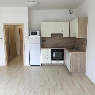 Pronájem bytu 1+kk a garsoniéry 33 m² Olomouc, Wolkerova