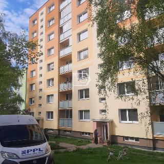 Prodej bytu 2+kk 42 m² Česká Lípa, Dukelská