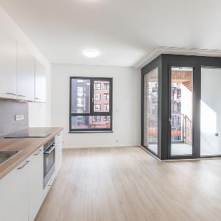 Pronájem bytu 1+kk a garsoniéry 31 m² Praha, U Lihovaru