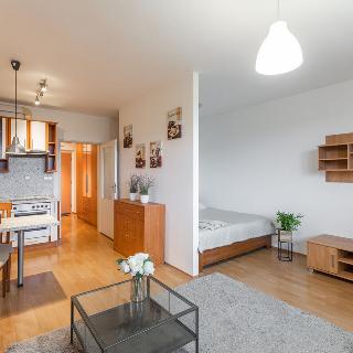 Prodej bytu 1+kk a garsoniéry 36 m² Praha, Hnězdenská