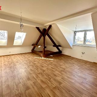 Prodej bytu 4+kk 164 m² Dobříč