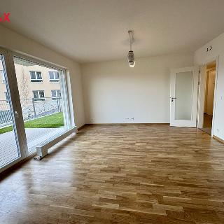 Pronájem bytu 2+kk 61 m² Praha, Kolmanova