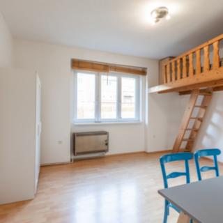 Pronájem bytu 1+kk a garsoniéry 27 m² Praha Nusle, Na bitevní pláni