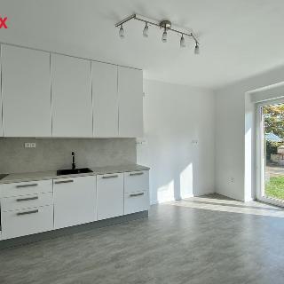 Pronájem bytu 2+kk 43 m² Praha, U první baterie