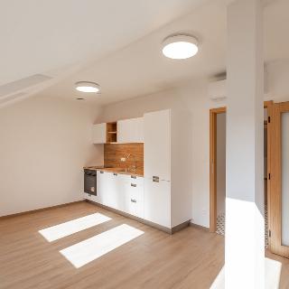 Pronájem bytu 2+kk 49 m² Praha, Křižíkova