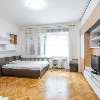 Prodej bytu 1+kk a garsoniéry 32 m² Praha, Purkyňova