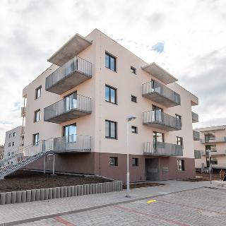 Pronájem bytu 1+kk a garsoniéry 35 m² Milovice, Armádní