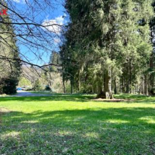 Prodej komerčního pozemku 15 757 m² Železná Ruda
