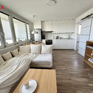 Prodej bytu 2+1 57 m² Praha, K otočce