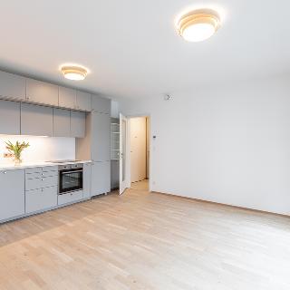 Pronájem bytu 1+kk, garsoniery 32 m² Praha