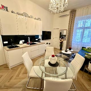 Prodej bytu 2+kk 42 m² Praha, Krakovská