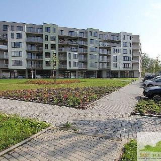 Pronájem bytu 2+kk 55 m² Pardubice, Pod Vinicí