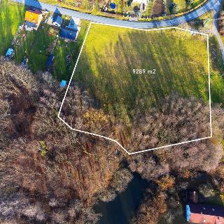 Prodej stavební parcely 9 289 m² Běstvina