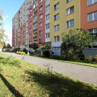 Pronájem bytu 3+1 82 m² Pardubice, Jana Zajíce