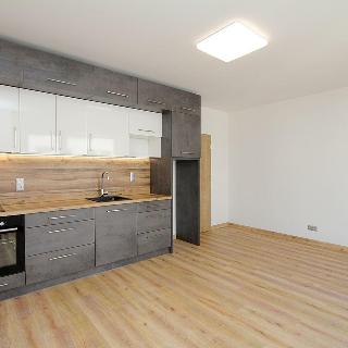 Pronájem bytu 1+kk a garsoniéry 31 m² Pardubice, Rokycanova