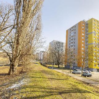 Prodej bytu 3+1 72 m² Pardubice, nábřeží Závodu míru