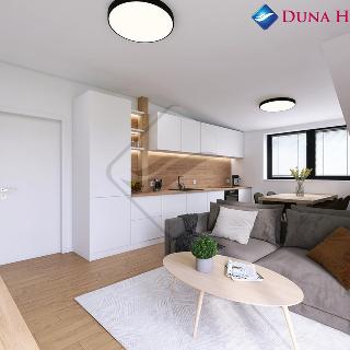 Prodej bytu 3+kk 60 m² Horní Planá, 