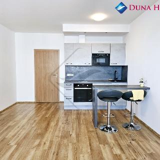 Prodej bytu 1+kk a garsoniéry 34 m² Praha, Kryšpínova