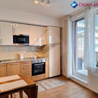 Pronájem bytu 1+kk a garsoniéry 75 m² Praha, Kramperova