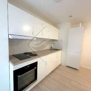 Prodej bytu 2+1 50 m² Praha, Poděbradská