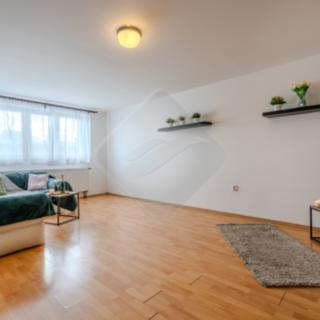Prodej bytu 1+kk a garsoniéry 44 m² Praha, Litovická