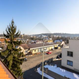 Prodej bytu 1+kk a garsoniéry 48 m² Praha, Litovická
