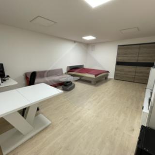 Prodej bytu 1+1 49 m² Praha Břevnov, Bělohorská