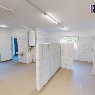 Pronájem výrobního objektu 384 m² Sokolov, Karla Hynka Máchy