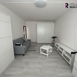 Pronájem bytu 1+1 39 m² Sokolov, Křížová