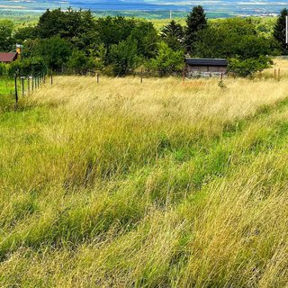 Prodej zahrady 2861 m² Březová