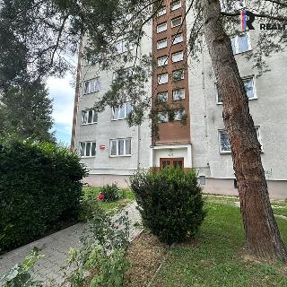 Prodej bytu 3+1 69 m² Kralupy nad Vltavou, nám. Mládežníků