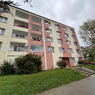 Prodej bytu 2+1 55 m² Habartov, Čs. armády