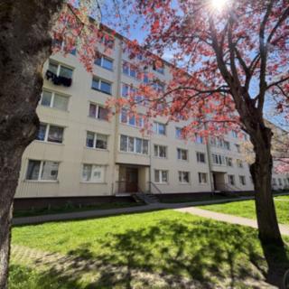 Prodej bytu 2+1 49 m² Horní Slavkov