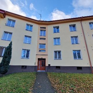 Pronájem bytu 1+1 47 m² Příbram, Okružní