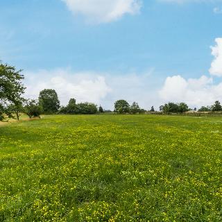 Prodej stavební parcely 873 m² Narysov