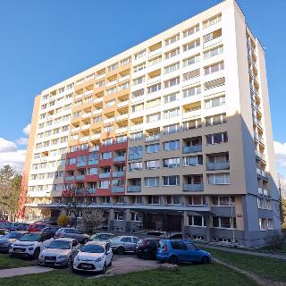 Prodej bytu 1+1 45 m² Příbram, Ryneček