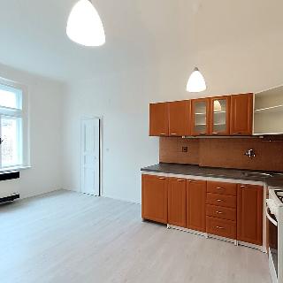 Pronájem bytu 1+1 48 m² Praha, Moskevská