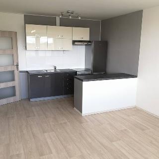 Pronájem bytu 2+kk 47 m² Příbram, Ryneček