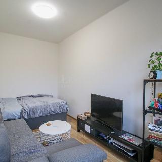 Pronájem bytu 1+kk a garsoniéry 32 m² Praha, 5. května