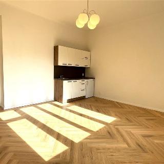 Pronájem bytu 1+kk a garsoniéry 26 m² Praha, Na dolinách