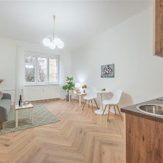 Pronájem bytu 1+kk a garsoniéry 25 m² Praha, Na dolinách