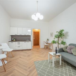 Prodej bytu 1+kk a garsoniéry 25 m² Praha, Na dolinách