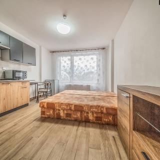 Pronájem bytu 1+kk a garsoniéry 30 m² Ústí nad Labem, Čajkovského