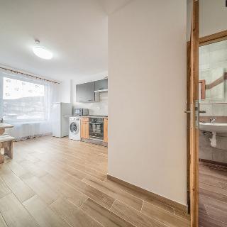 Pronájem bytu 2+kk 60 m² Ústí nad Labem, Čajkovského