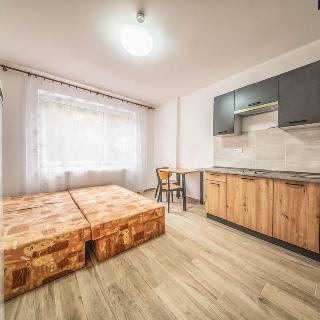 Pronájem bytu 1+kk a garsoniéry 30 m² Ústí nad Labem, Čajkovského