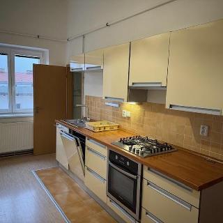 Pronájem bytu 1+1 45 m² Litoměřice, Liberecká