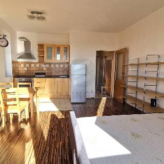 Pronájem bytu 1+kk a garsoniéry 32 m² Roztoky, Najdrova