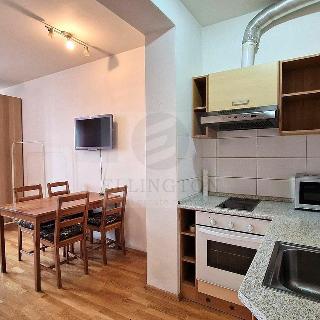 Pronájem bytu 1+kk a garsoniéry 30 m² Praha, Táboritská